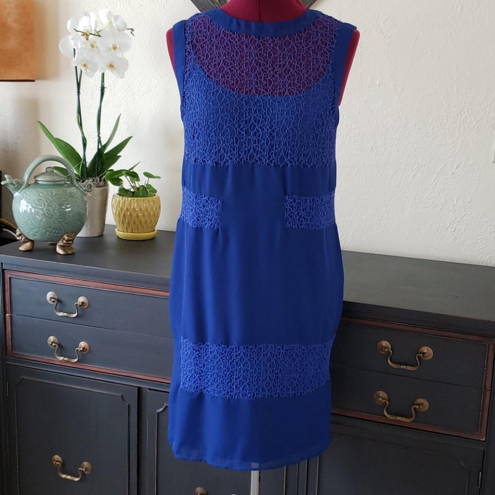 Royal blue two piece Walter Baker 60s shift dress